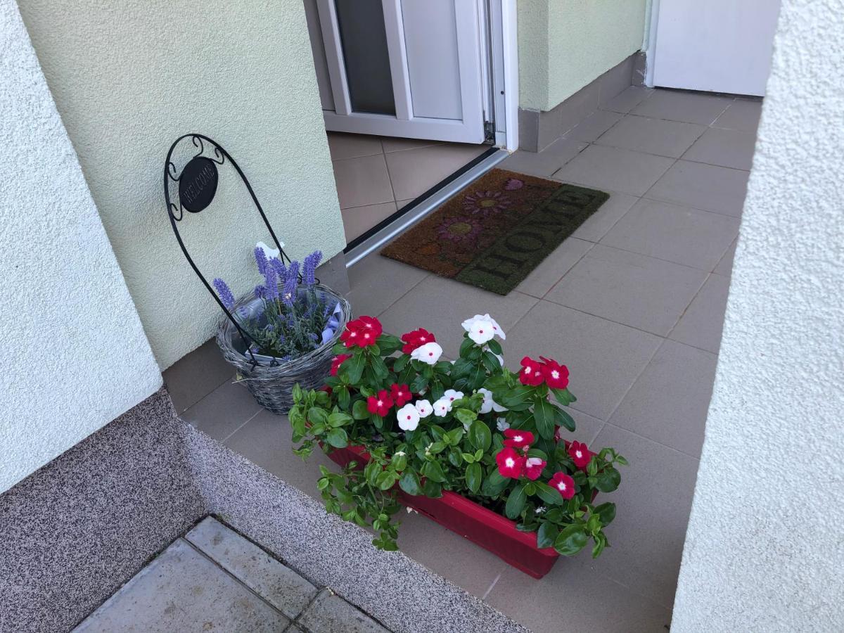 Apartman Igor Cizici Exterior photo